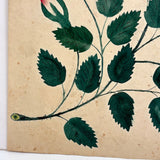 Roses and Buds on Thorny Stems, Lush 1840s Watercolor Theorem