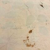 Roses and Buds on Thorny Stems, Lush 1840s Watercolor Theorem