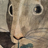 The Favorite Rabbit, 1864 Ink and Watercolor After John Russell and Charles Knight, with Dated Newspaper Backing