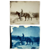 Rare Pair: Cowboy, Dog, Horses (and a Flaw), Early 1900s Cyanotype on Silk and  Albumen Print From Same Negative