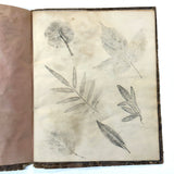 Leaf Studies, Rebecca Pillsbury's 1847 Notebook of Ink-stamped and Labeled Specimens, Nashville, NH