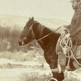 Rare Pair: Cowboy, Dog, Horses (and a Flaw), Early 1900s Cyanotype on Silk and  Albumen Print From Same Negative