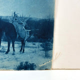 Rare Pair: Cowboy, Dog, Horses (and a Flaw), Early 1900s Cyanotype on Silk and  Albumen Print From Same Negative