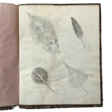 Leaf Studies, Rebecca Pillsbury's 1847 Notebook of Ink-stamped and Labeled Specimens, Nashville, NH