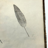 Leaf Studies, Rebecca Pillsbury's 1847 Notebook of Ink-stamped and Labeled Specimens, Nashville, NH