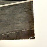 Young Boxers in Ring with Trainers, Cinematic Feeling c. 1950s Glossy Snapshot