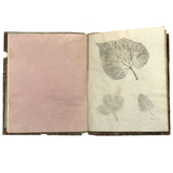 Leaf Studies, Rebecca Pillsbury's 1847 Notebook of Ink-stamped and Labeled Specimens, Nashville, NH