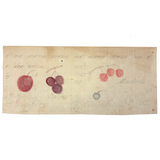 Berries, Cherries, Legs, Cat, Very Sweet Double-sided 19th C. Graphite and Watercolor Drawing