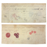 Berries, Cherries, Legs, Cat, Very Sweet Double-sided 19th C. Graphite and Watercolor Drawing