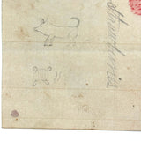 Berries, Cherries, Legs, Cat, Very Sweet Double-sided 19th C. Graphite and Watercolor Drawing