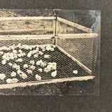 Charles Weatherbee Chickens,  Charlestown, NH, Many Times Satisfying Old Mounted Silver Print