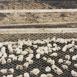 Charles Weatherbee Chickens,  Charlestown, NH, Many Times Satisfying Old Mounted Silver Print
