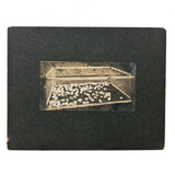 Charles Weatherbee Chickens,  Charlestown, NH, Many Times Satisfying Old Mounted Silver Print