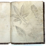Leaf Studies, Rebecca Pillsbury's 1847 Notebook of Ink-stamped and Labeled Specimens, Nashville, NH