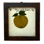 Turn of the Lane, Wonderful Earlyish 19th Century Oil on Paper Apple with Perfect Inked Lettering