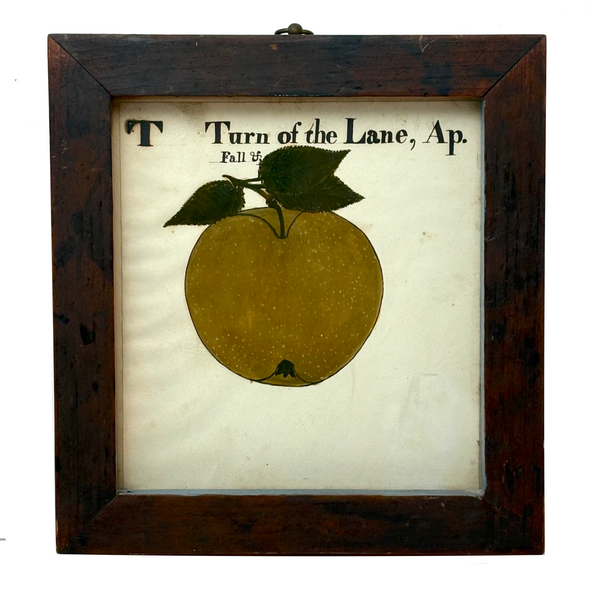 Turn of the Lane, Wonderful Earlyish 19th Century Oil on Paper Apple with Perfect Inked Lettering