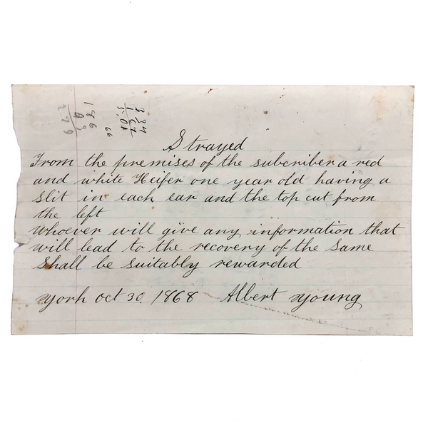Strayed Heifer Reward Note, York, Maine, 1868