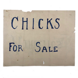 C. 1912 Chicks for Sale / W. F. Fancher Athletics Illustration