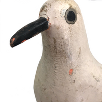 SOLD Handsome Presumed English Hand-carved White Pigeon Decoy on Burl