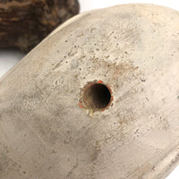 SOLD Handsome Presumed English Hand-carved White Pigeon Decoy on Burl