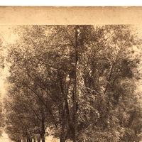 The New York View Co Antique Stereoview, Tree Lined Path