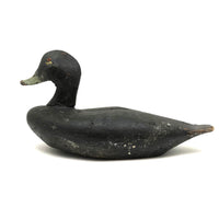 Handsome Antique Black Duck Green Bill Working Decoy Signed