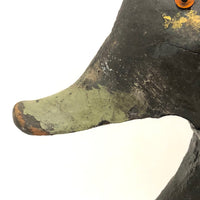 Handsome Antique Black Duck Green Bill Working Decoy Signed