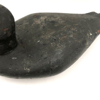 Handsome Antique Black Duck Green Bill Working Decoy Signed