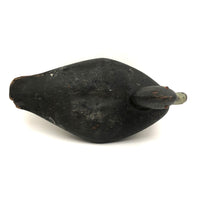 Handsome Antique Black Duck Green Bill Working Decoy Signed