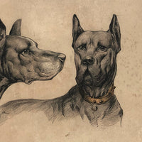 Handsome Dogs, Pair of Antique British Postcards