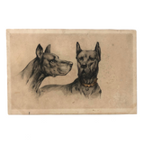 Handsome Dogs, Pair of Antique British Postcards