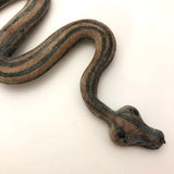 Cool Old Green Striped Snake