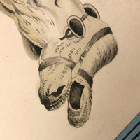 French 19th Century Reversal Image, Which is My Portrait?