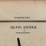 Rare, Striking 1808-10 Hand-colored French "Coquilles" Bookplate Engravings