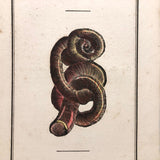 Rare, Striking 1808-10 Hand-colored French "Coquilles" Bookplate Engravings