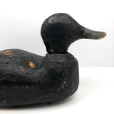 Hand-carved Hunted Over Old Black Duck Working Decoy