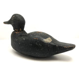 Hand-carved Hunted Over Old Black Duck Working Decoy