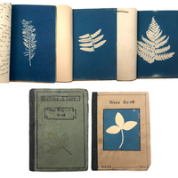Beulah Ernst’s 1922 “Weed Book” and “Tree Project Book” Full of Cyanotype Solar Prints