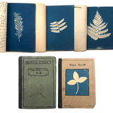 Beulah Ernst’s 1922 “Weed Book” and “Tree Project Book” Full of Cyanotype Solar Prints