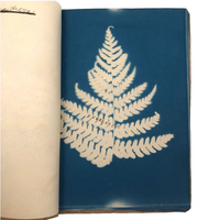 Beulah Ernst’s 1922 “Weed Book” and “Tree Project Book” Full of Cyanotype Solar Prints