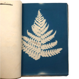 Beulah Ernst’s 1922 “Weed Book” and “Tree Project Book” Full of Cyanotype Solar Prints