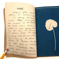 Beulah Ernst’s 1922 “Weed Book” and “Tree Project Book” Full of Cyanotype Solar Prints