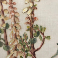 British Watercolor of Wall Pennywort on Linen Gauze
