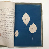 Beulah Ernst’s 1922 “Weed Book” and “Tree Project Book” Full of Cyanotype Solar Prints