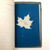 Beulah Ernst’s 1922 “Weed Book” and “Tree Project Book” Full of Cyanotype Solar Prints