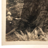 Woman with Worlds Big Tree Antique Real Photo Postcard