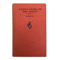 A Field Guide to Seashells of our Atlantic Coast, Percy Morris, 1947