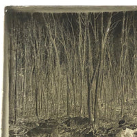 Glass Plate Negative of Woman Skating Figure Eights on Pond, 1890s