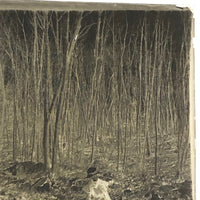 Glass Plate Negative of Woman Skating Figure Eights on Pond, 1890s
