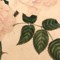 Very Fine 19th Century Gouache and Watercolor Floral Bouquet